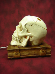Skull on Book Aroma Lamp